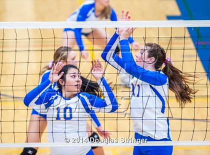 Thumbnail 2 in Arroyo @ Newark Memorial photogallery.