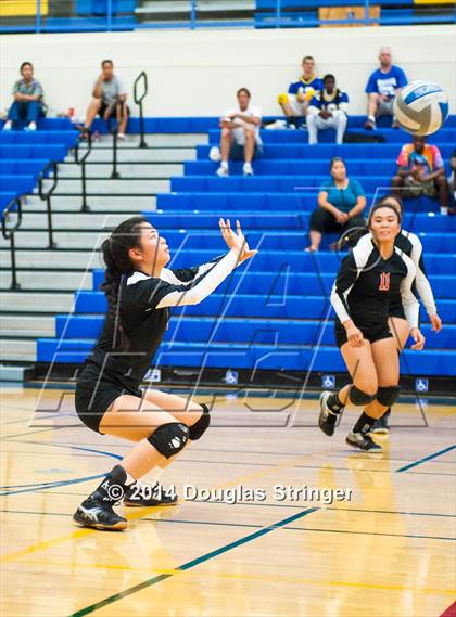 Thumbnail 1 in Arroyo @ Newark Memorial photogallery.