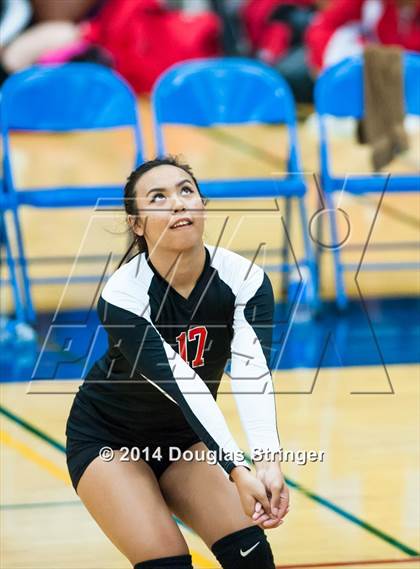 Thumbnail 2 in Arroyo @ Newark Memorial photogallery.