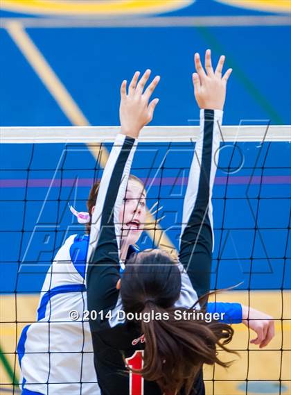Thumbnail 3 in Arroyo @ Newark Memorial photogallery.