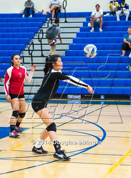Thumbnail 1 in Arroyo @ Newark Memorial photogallery.