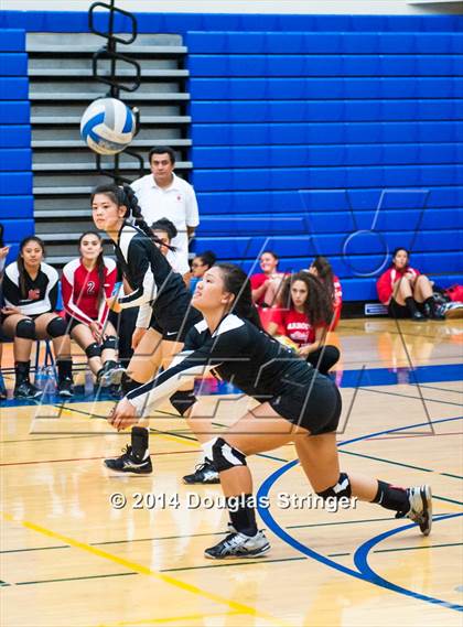 Thumbnail 3 in Arroyo @ Newark Memorial photogallery.
