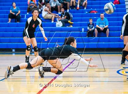 Thumbnail 3 in Arroyo @ Newark Memorial photogallery.