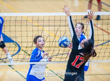 Thumbnail 2 in Arroyo @ Newark Memorial photogallery.