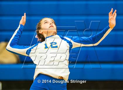 Thumbnail 2 in Arroyo @ Newark Memorial photogallery.