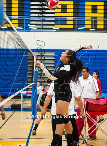 Thumbnail 3 in Arroyo @ Newark Memorial photogallery.