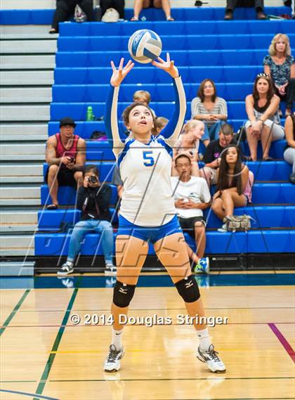 Thumbnail 2 in Arroyo @ Newark Memorial photogallery.