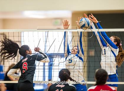 Thumbnail 1 in Arroyo @ Newark Memorial photogallery.