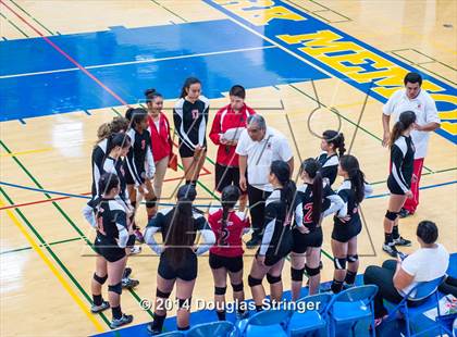 Thumbnail 3 in Arroyo @ Newark Memorial photogallery.