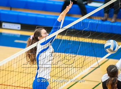Thumbnail 1 in Arroyo @ Newark Memorial photogallery.