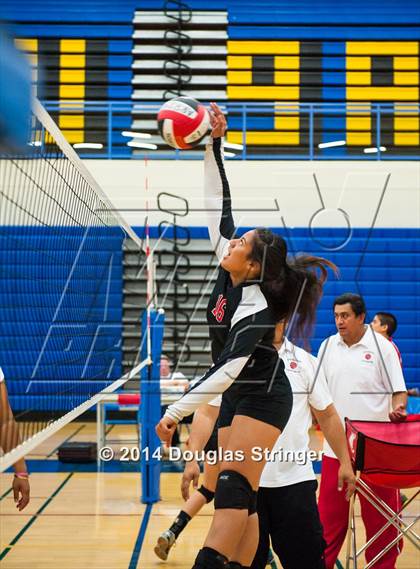 Thumbnail 1 in Arroyo @ Newark Memorial photogallery.