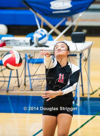 Thumbnail 1 in Arroyo @ Newark Memorial photogallery.