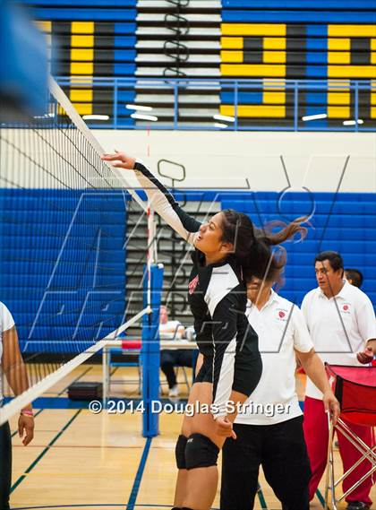 Thumbnail 2 in Arroyo @ Newark Memorial photogallery.