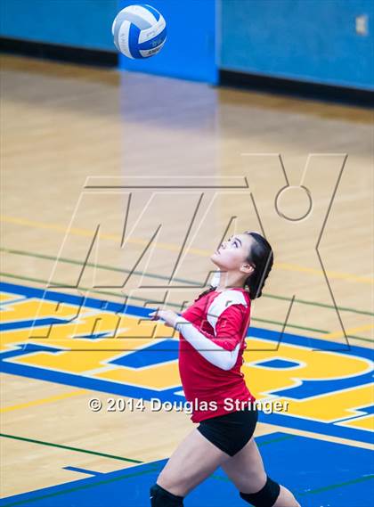 Thumbnail 1 in Arroyo @ Newark Memorial photogallery.