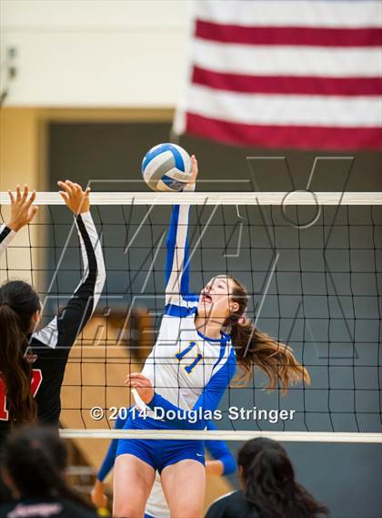 Thumbnail 1 in Arroyo @ Newark Memorial photogallery.