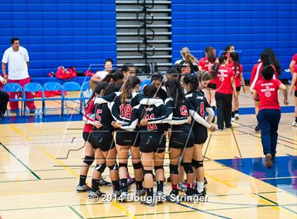 Thumbnail 3 in Arroyo @ Newark Memorial photogallery.