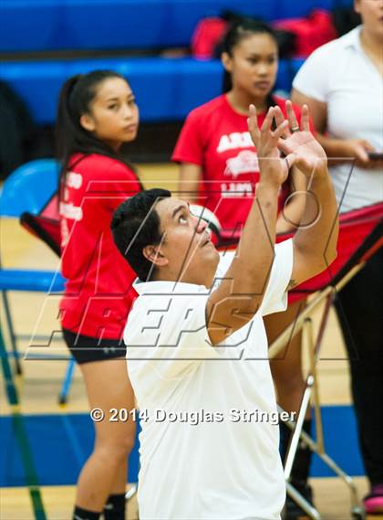 Thumbnail 1 in Arroyo @ Newark Memorial photogallery.