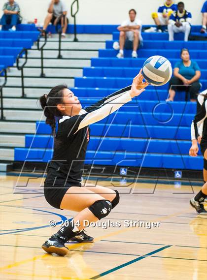 Thumbnail 2 in Arroyo @ Newark Memorial photogallery.