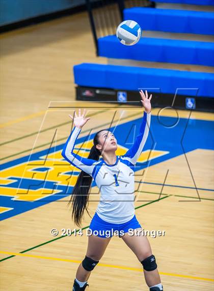 Thumbnail 2 in Arroyo @ Newark Memorial photogallery.