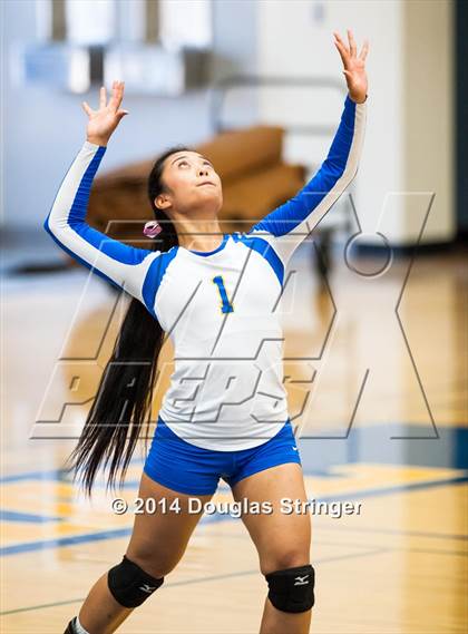 Thumbnail 1 in Arroyo @ Newark Memorial photogallery.