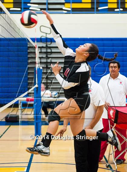 Thumbnail 2 in Arroyo @ Newark Memorial photogallery.