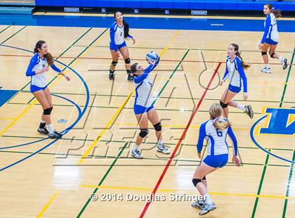 Thumbnail 1 in Arroyo @ Newark Memorial photogallery.