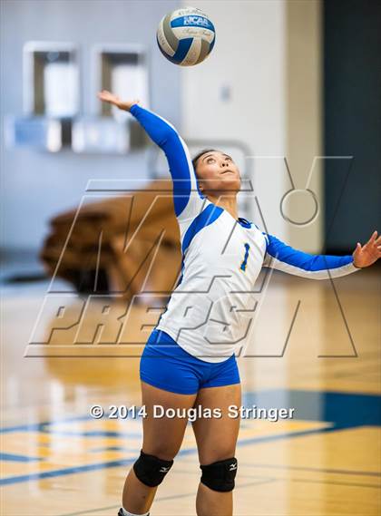 Thumbnail 2 in Arroyo @ Newark Memorial photogallery.