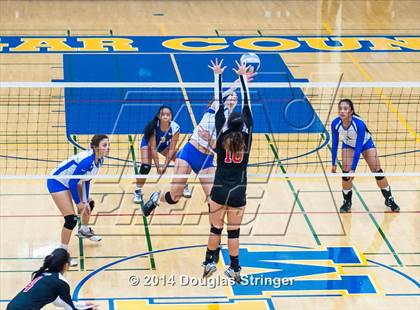 Thumbnail 1 in Arroyo @ Newark Memorial photogallery.
