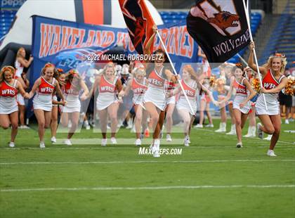 Thumbnail 2 in Grapevine @ Wakeland photogallery.