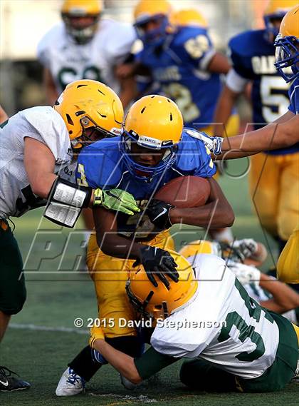 Thumbnail 3 in Live Oak @ Oak Grove photogallery.