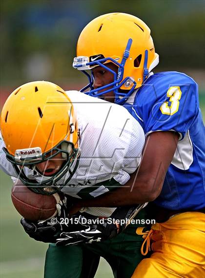 Thumbnail 2 in Live Oak @ Oak Grove photogallery.