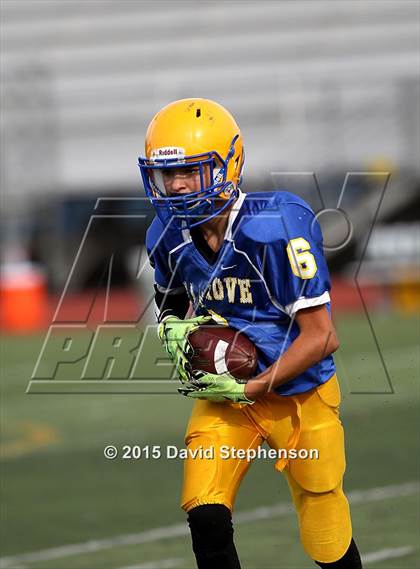 Thumbnail 3 in Live Oak @ Oak Grove photogallery.