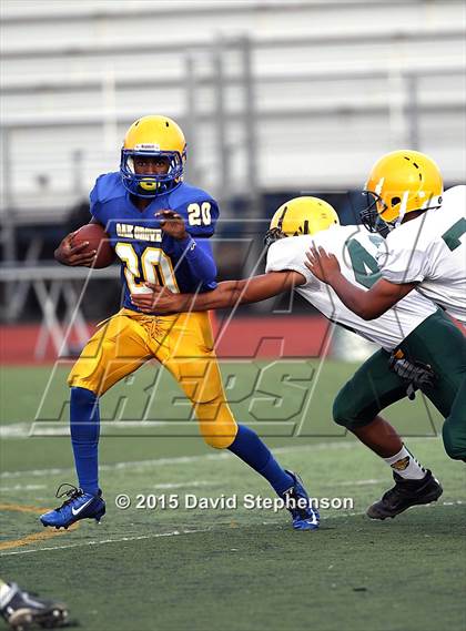 Thumbnail 2 in Live Oak @ Oak Grove photogallery.