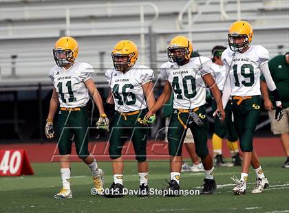 Thumbnail 2 in Live Oak @ Oak Grove photogallery.