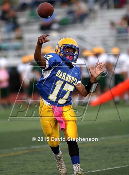 Thumbnail 1 in Live Oak @ Oak Grove photogallery.