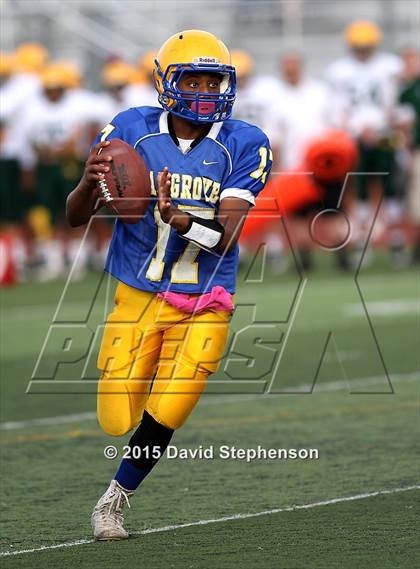 Thumbnail 3 in Live Oak @ Oak Grove photogallery.