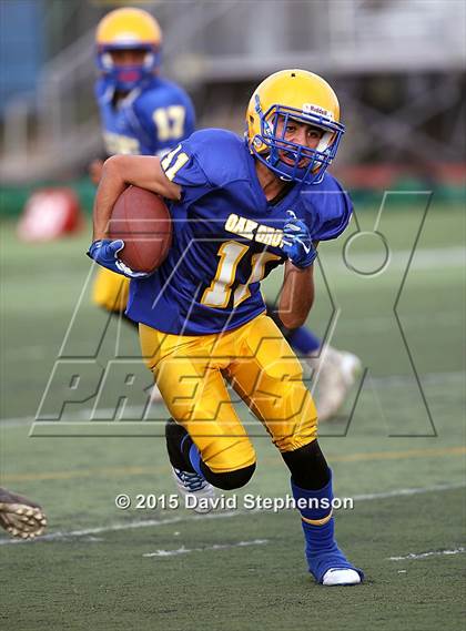 Thumbnail 1 in Live Oak @ Oak Grove photogallery.