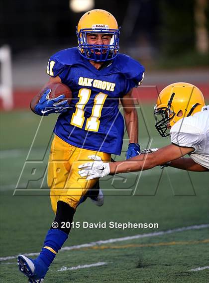 Thumbnail 1 in Live Oak @ Oak Grove photogallery.