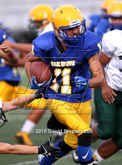 Thumbnail 3 in Live Oak @ Oak Grove photogallery.