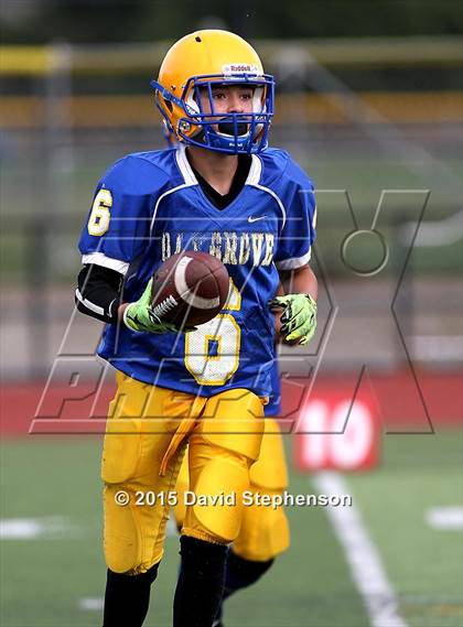 Thumbnail 3 in Live Oak @ Oak Grove photogallery.