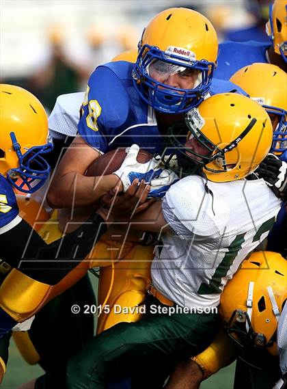 Thumbnail 3 in Live Oak @ Oak Grove photogallery.