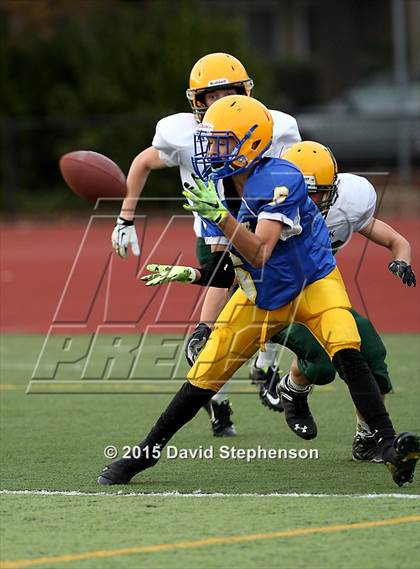 Thumbnail 1 in Live Oak @ Oak Grove photogallery.