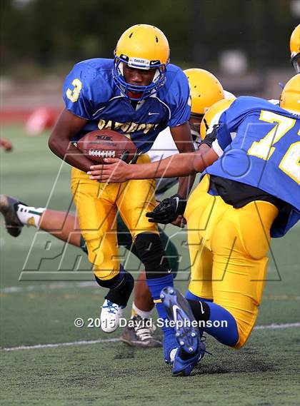 Thumbnail 3 in Live Oak @ Oak Grove photogallery.