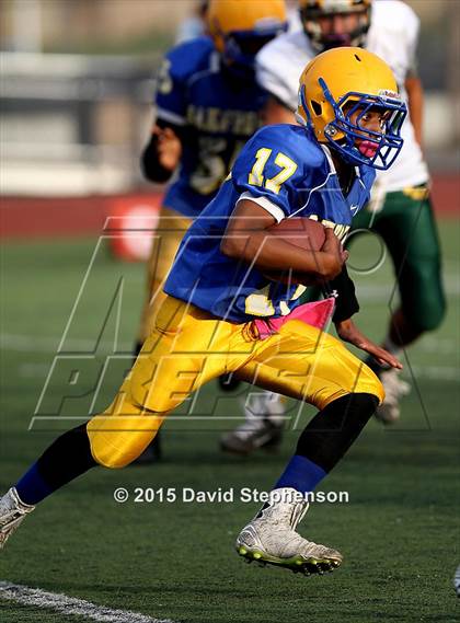 Thumbnail 1 in Live Oak @ Oak Grove photogallery.