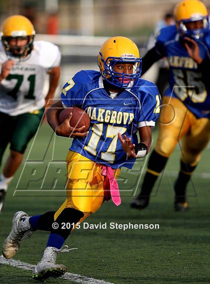 Thumbnail 3 in Live Oak @ Oak Grove photogallery.