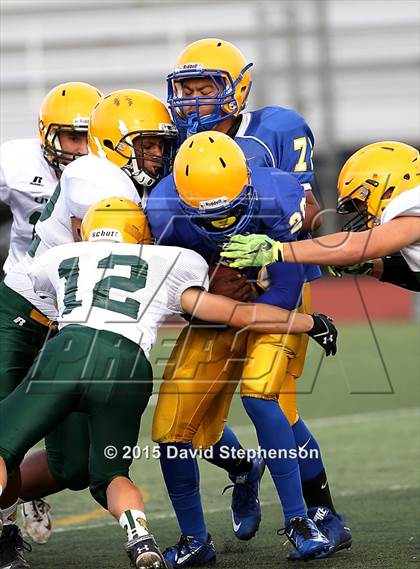Thumbnail 3 in Live Oak @ Oak Grove photogallery.