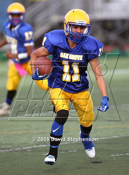 Thumbnail 2 in Live Oak @ Oak Grove photogallery.