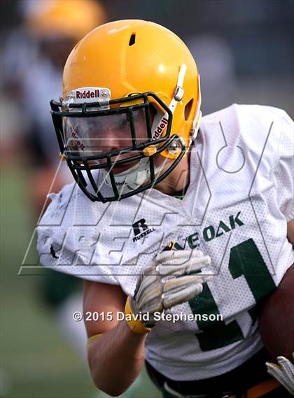 Thumbnail 2 in Live Oak @ Oak Grove photogallery.