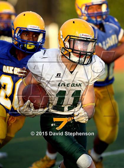 Thumbnail 1 in Live Oak @ Oak Grove photogallery.