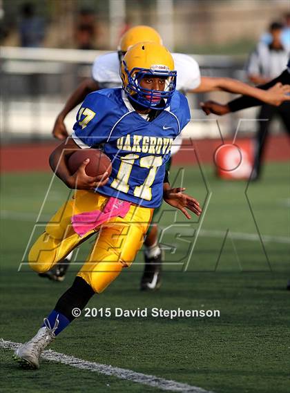 Thumbnail 2 in Live Oak @ Oak Grove photogallery.